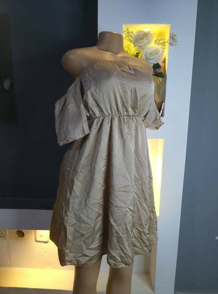 Ladies dress