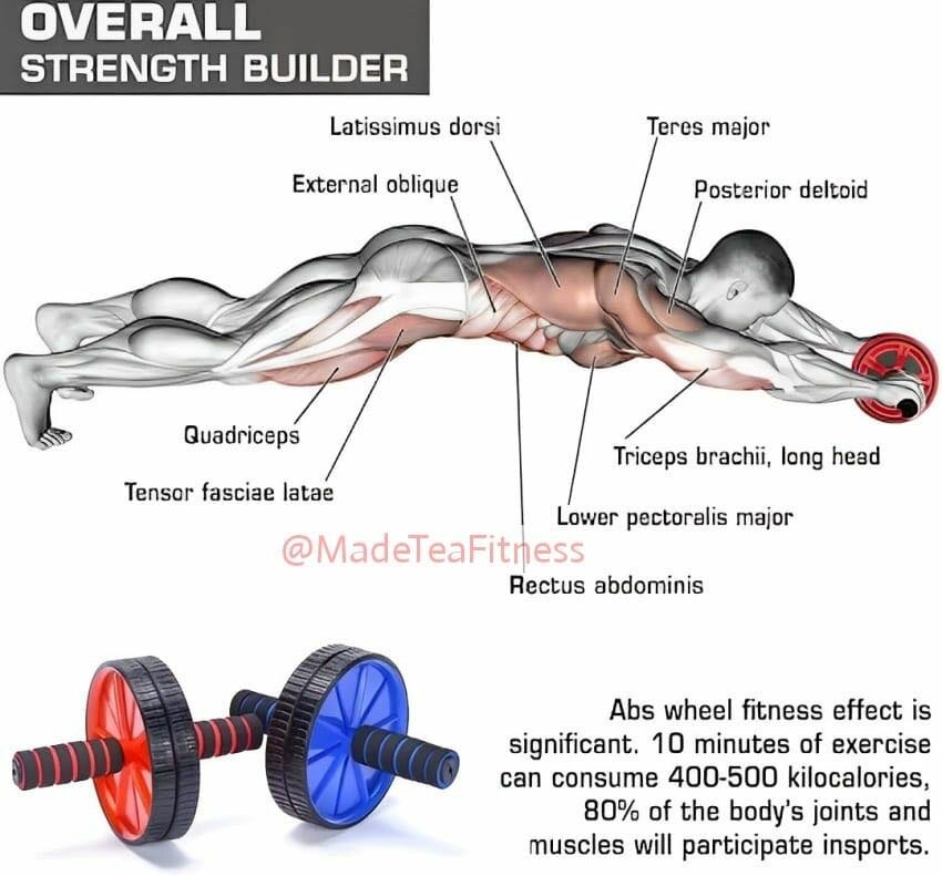 Ab roller