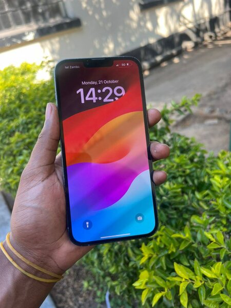 iPhone 13 Pro Max