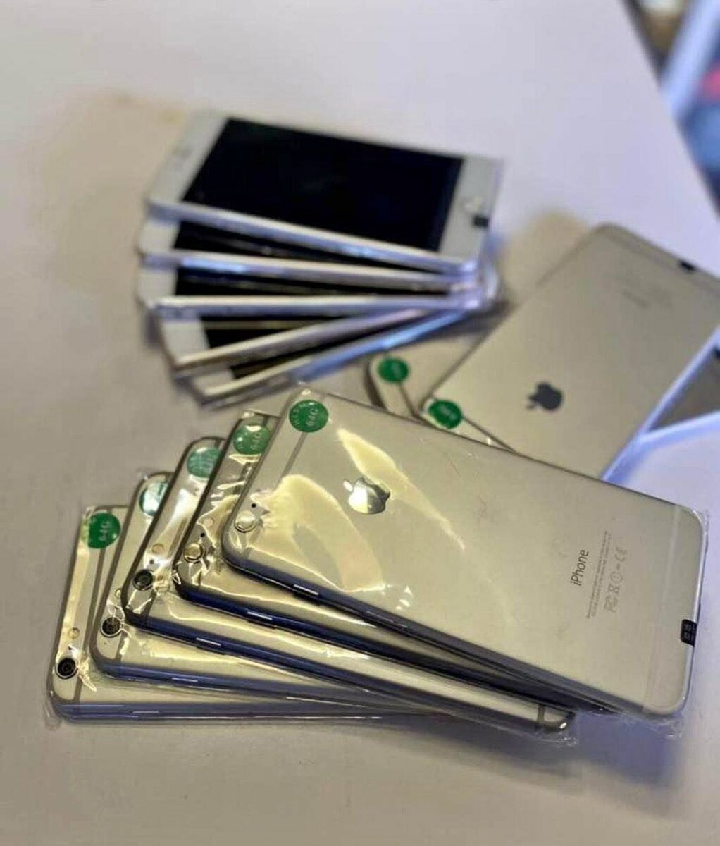iPhone 6 Plus