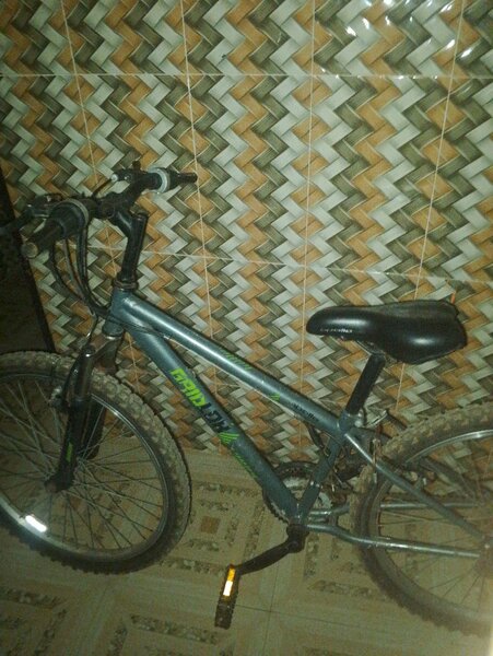 Bicycle