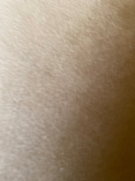 Soft Beige Fabric