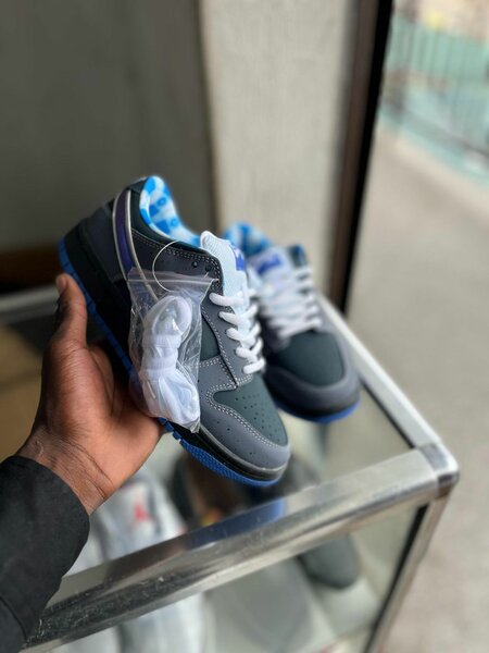 Nike SB dunks