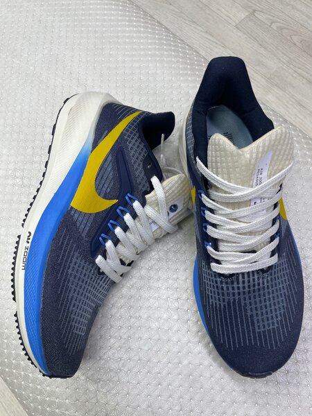 Nike Pegasus 39