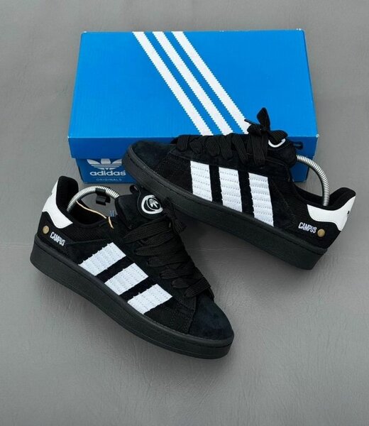 Adidas Campus authentique