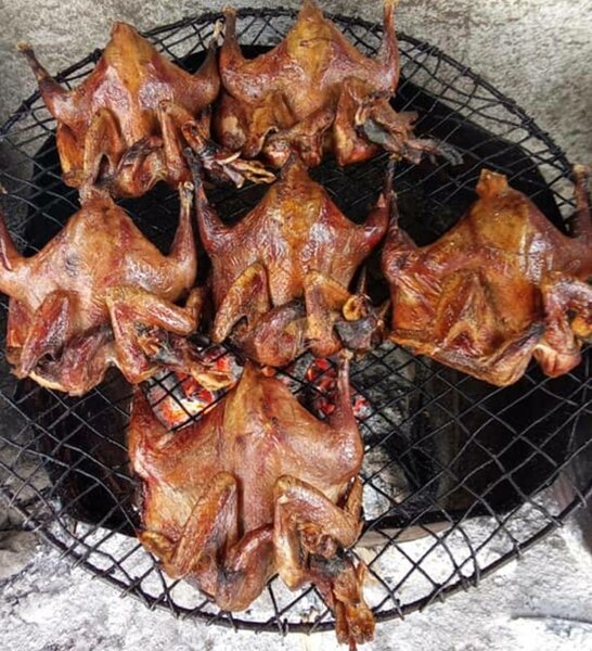 Poulet