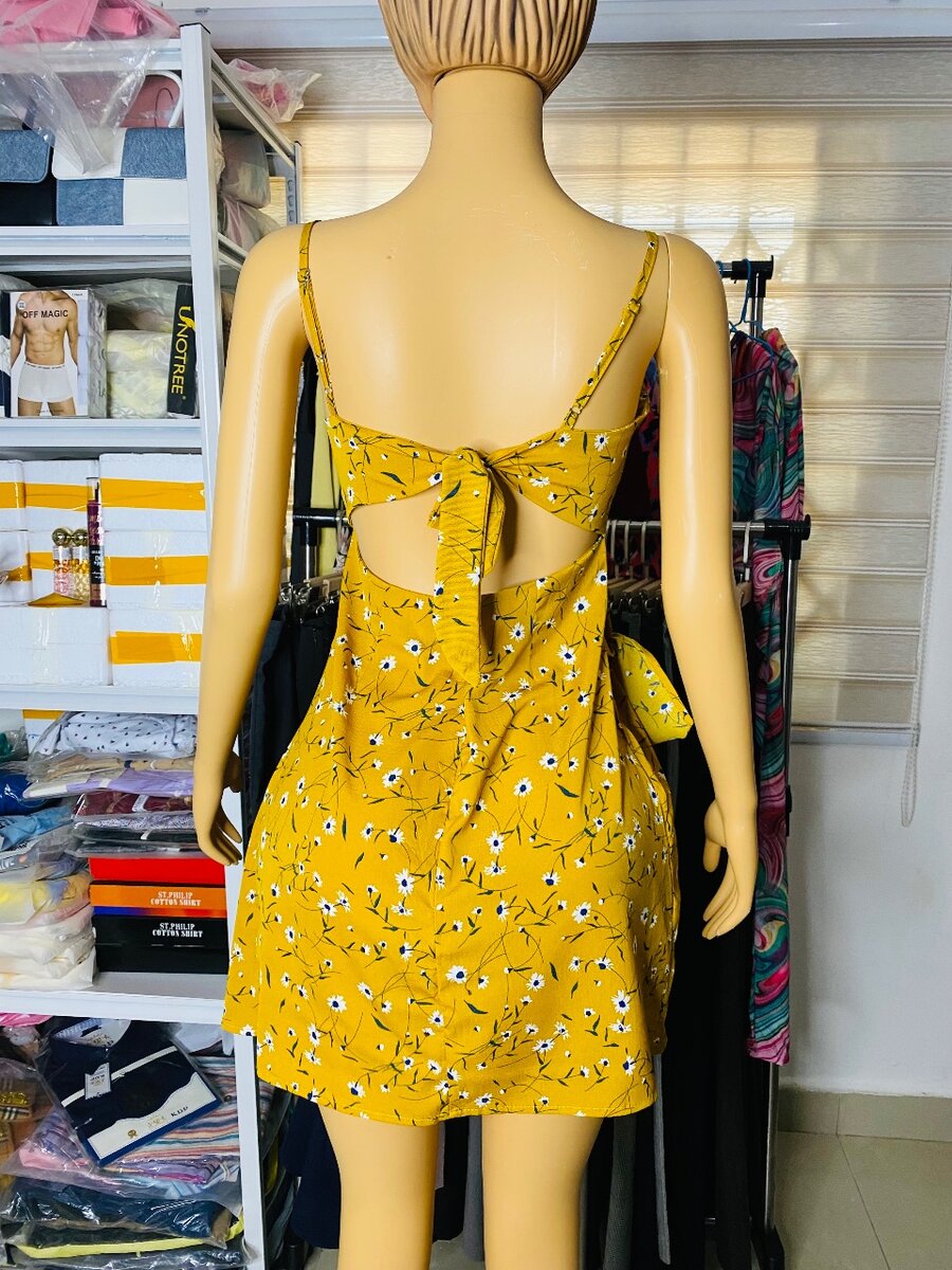 Ladies dress