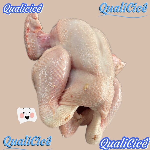 Poulet de chair
