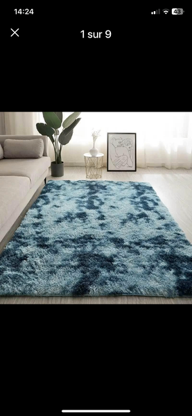 Tapis salon