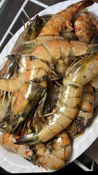 Grosse Gambas