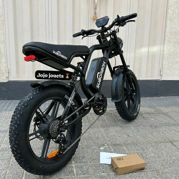 Vélo électrique puissant