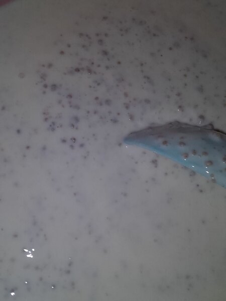 Lait caillé ou dêguê