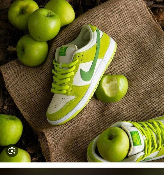 Chaussures Nike SB
