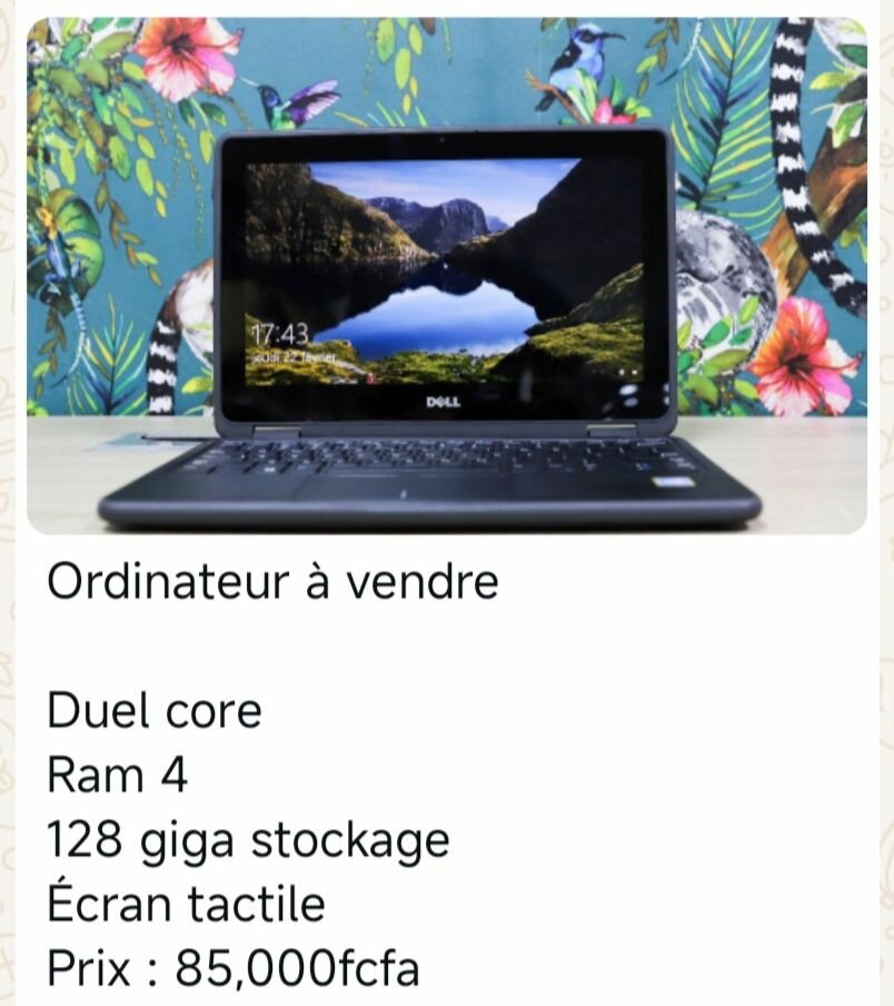 Dell duel core