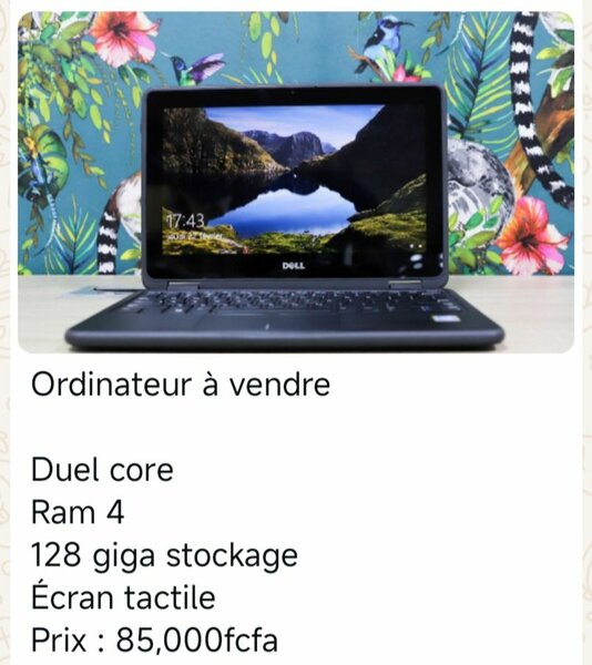 Dell duel core