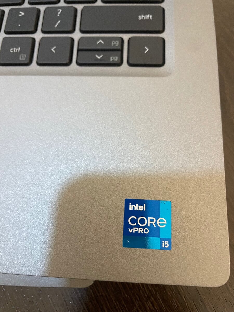 DELL LATITUDE