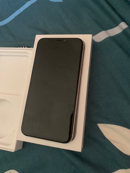 iPhone X