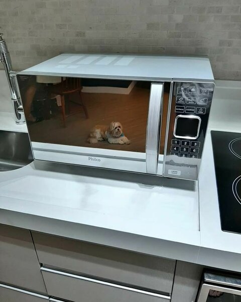 Microwave