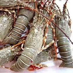 Fraîcheur de mer 