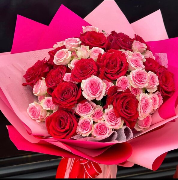 Fresh roses