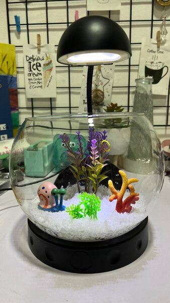 Aquariums