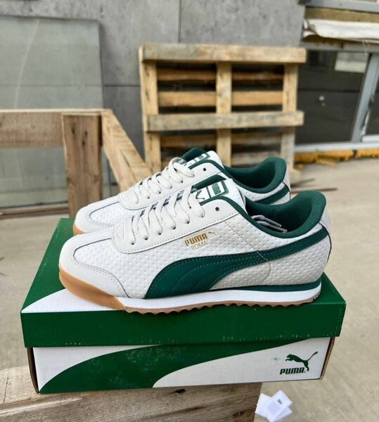 Fashion Sneakers