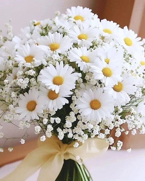 Bouquet de Marguerites fraîches