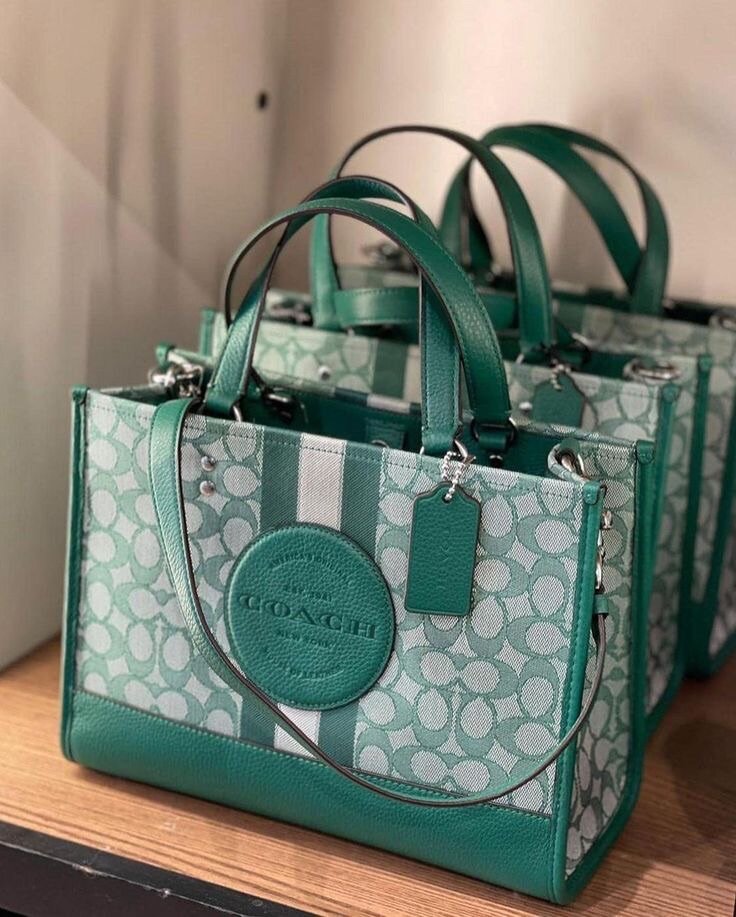 Ladies bag