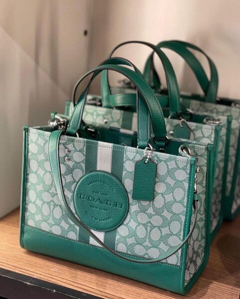 Ladies bag