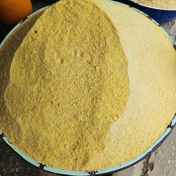 Yellow Garri 1 Olonka