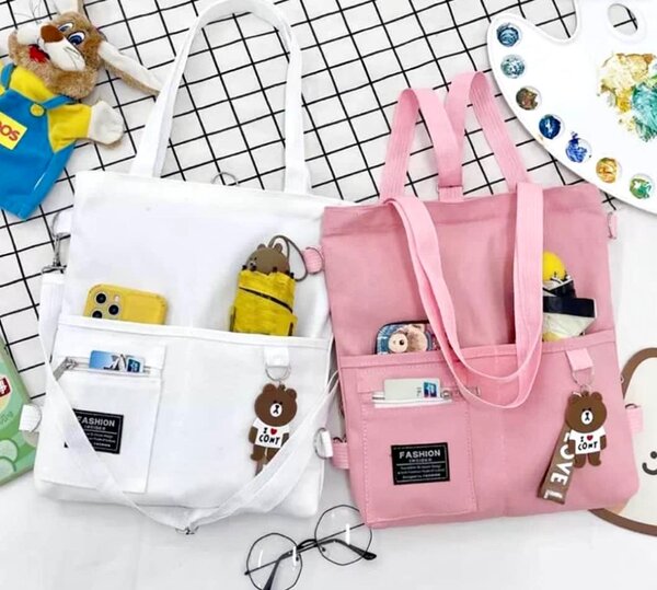 Lecture bags