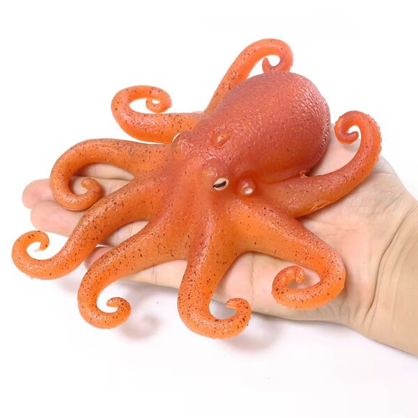 Sea Animal For Kids