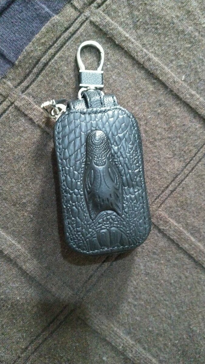 Earpod Case