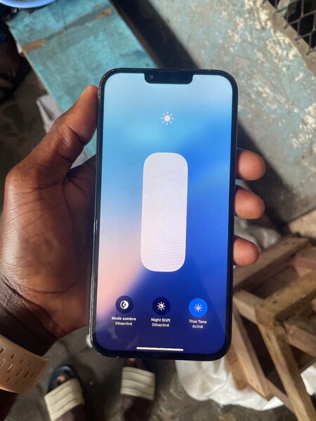 iPhone 13 Pro Max