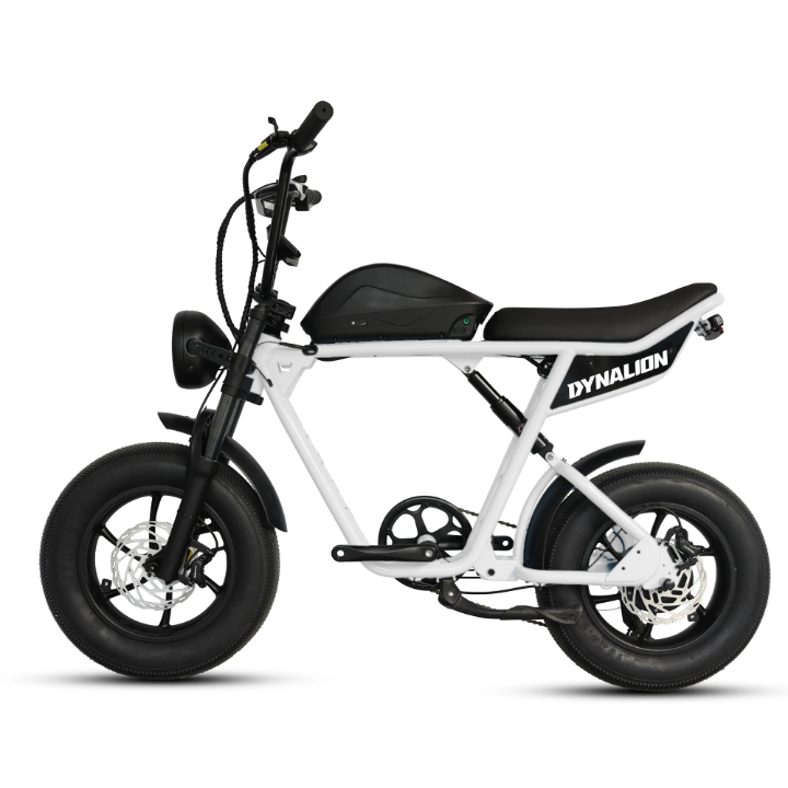 Vélo électrique Dynalion compact