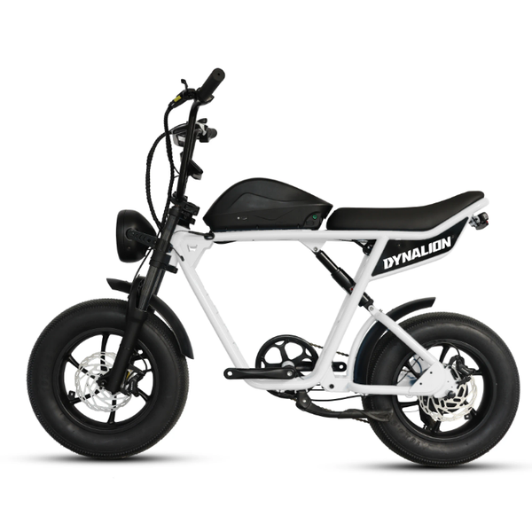 Vélo électrique Dynalion compact