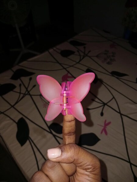 Pince papillon cheveux