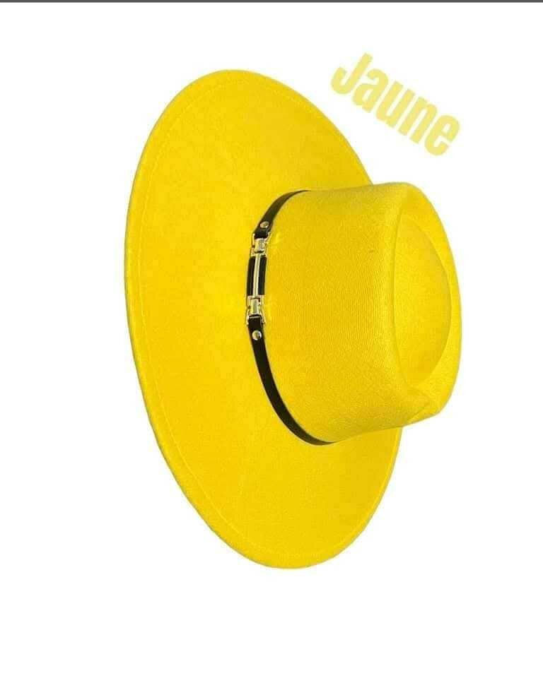Chapeau en velour