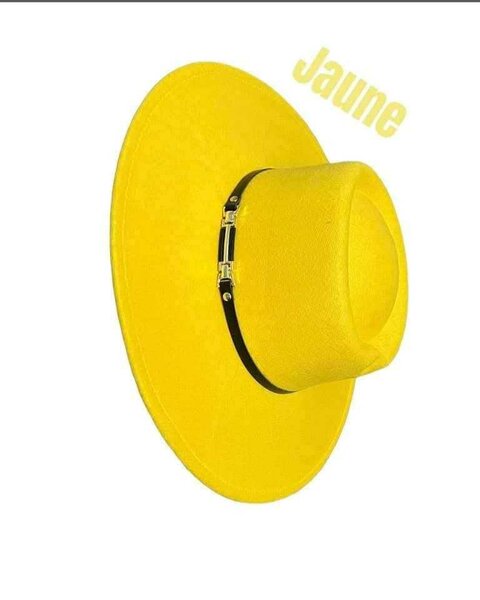 Chapeau en velour
