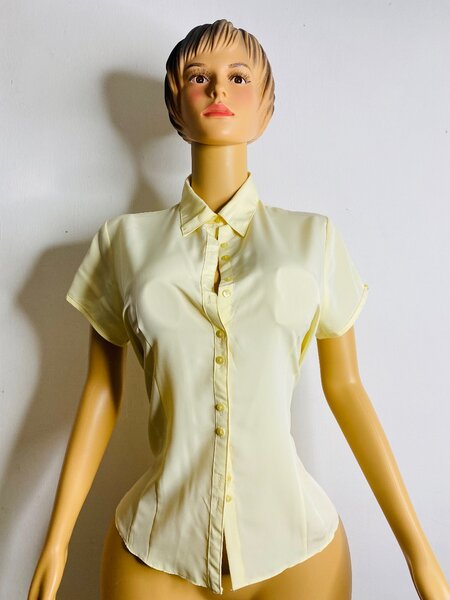 Ladies top