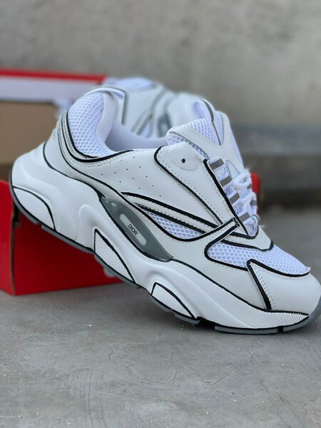 Basket Dior B22