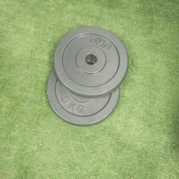 Gym weight (plate)