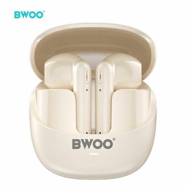 Écouteurs Bluetooth BWOO