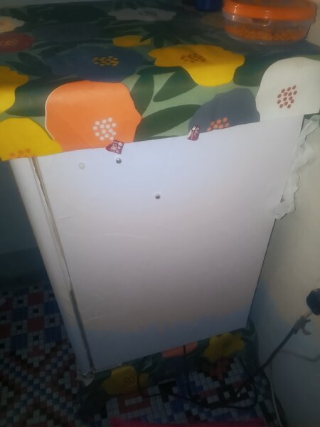 Tabletop fridge