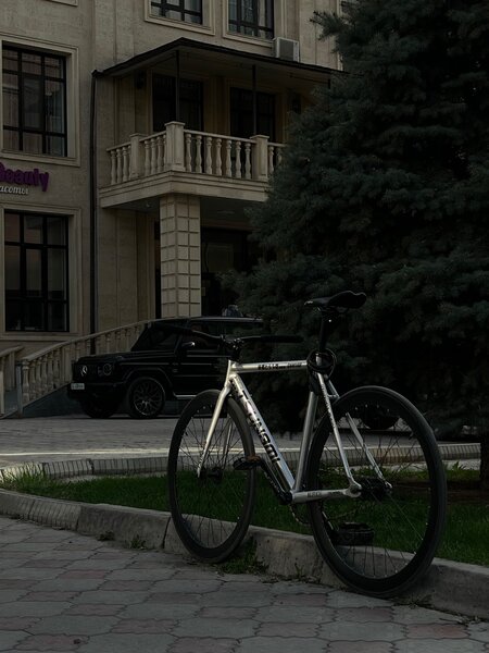 Тсунами