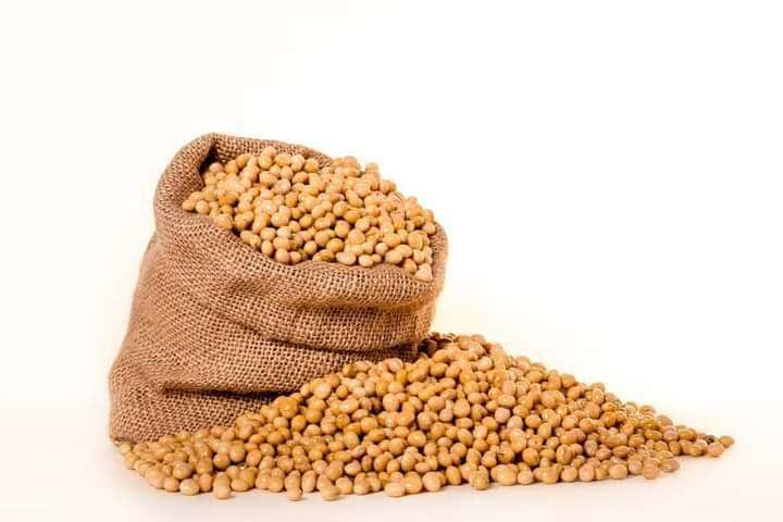 Soyabeans Meal or SBM