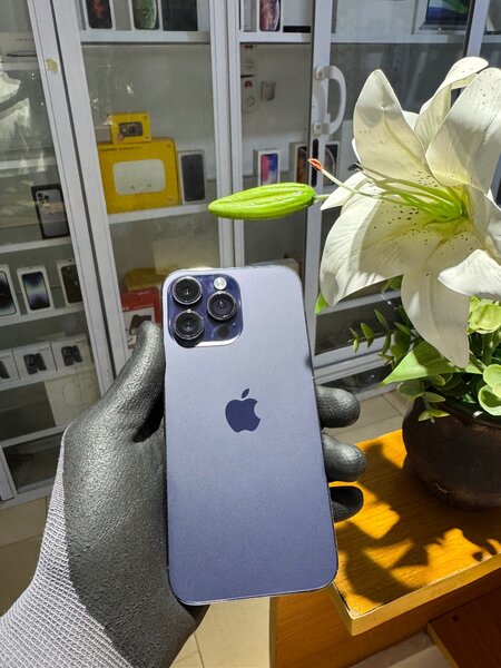 iPhone 14 Pro Max
