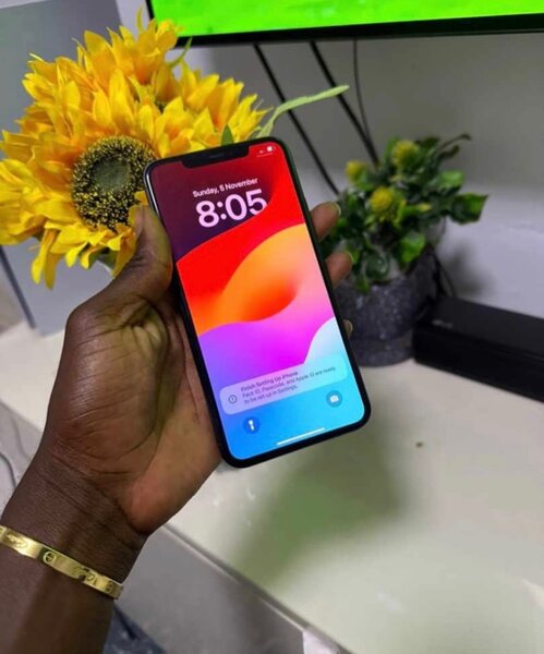 iPhone 11pro max256