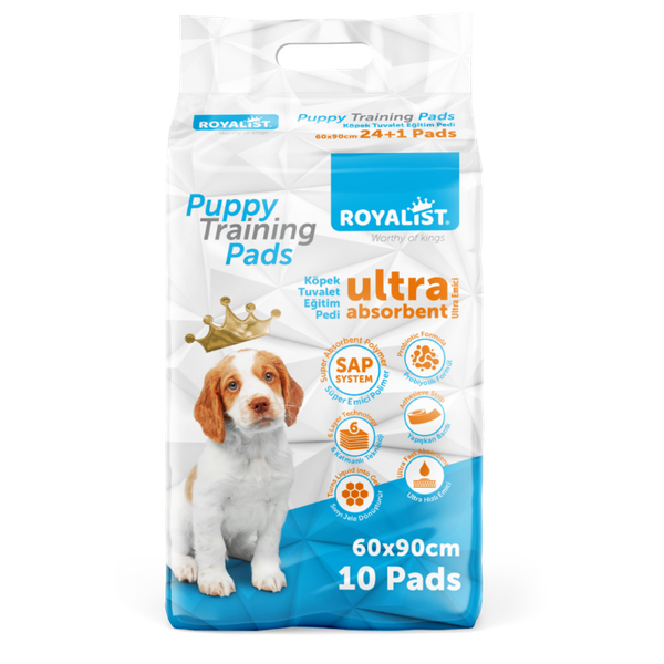 Tapis d'Entraînement Ultra Absorbant