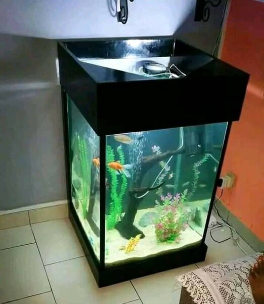 Aquarium moderne carré